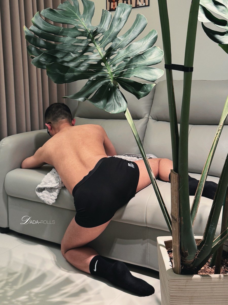 大大卷 tweet media