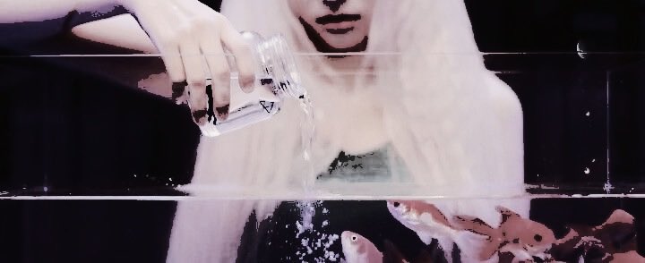 ‍ ‍* ‍ 🌊 ‍ tweet media