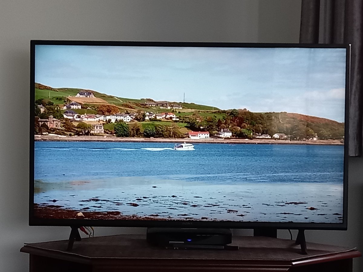 Koala-Barry 🏴󠁧󠁢󠁳󠁣󠁴󠁿 🐨 tweet media