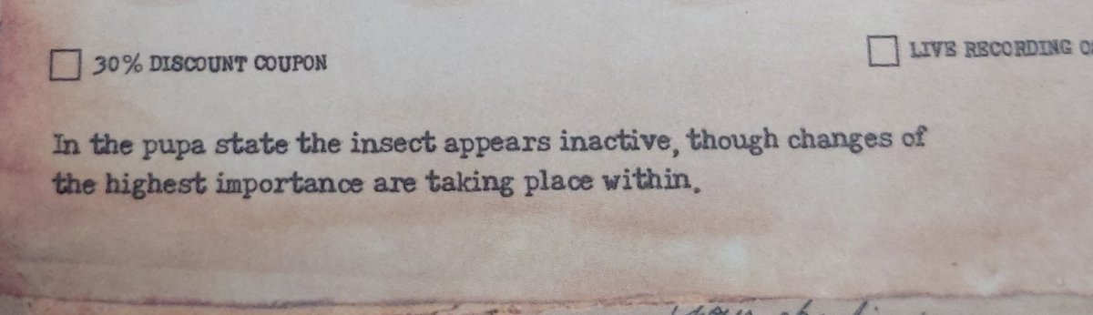 𝑮𝒆𝒐𝒓𝒈𝒆 𝑮𝒐𝒓𝒅𝒐𝒏 𝑩𝒚𝒓𝒐𝒏 tweet media