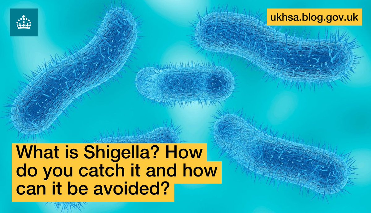 UK Health Security Agency tweet media