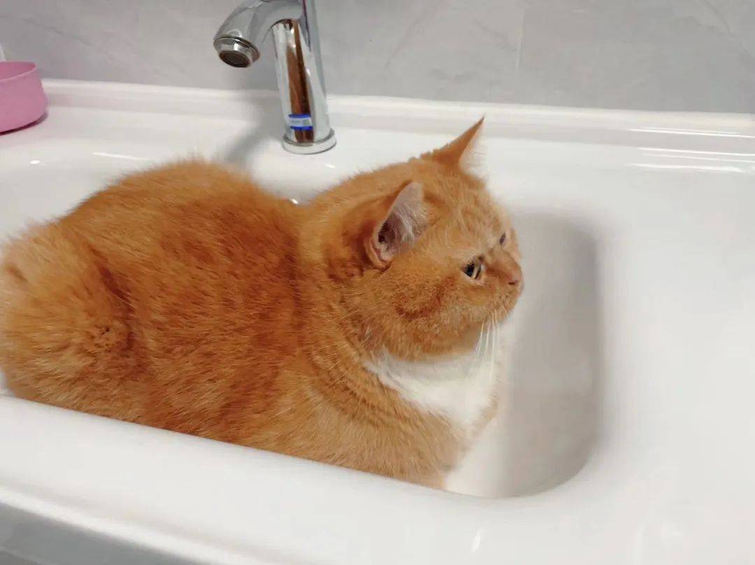 reda mesdar tweet media