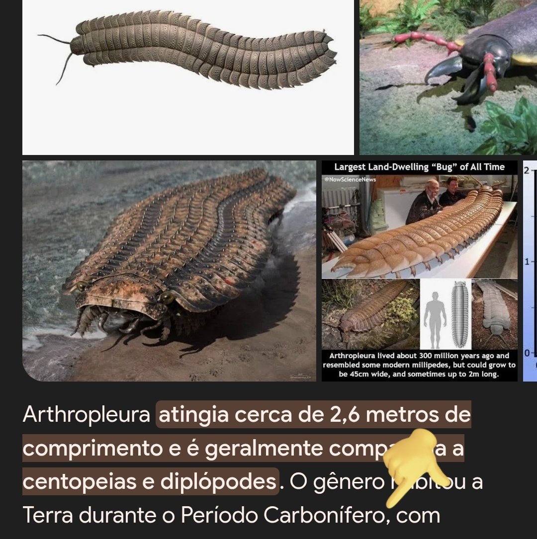 ᴘᴀɴᴏ tweet media