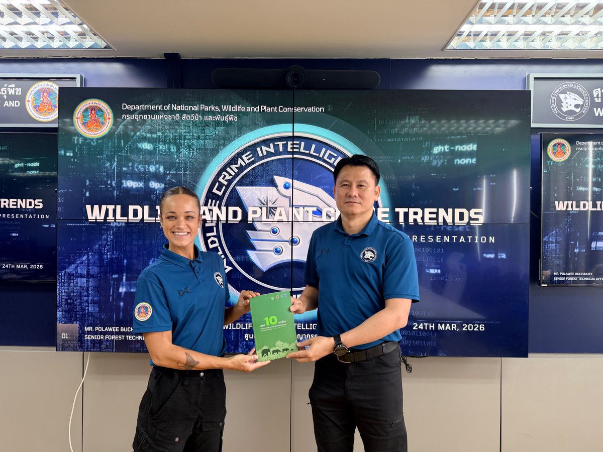 WildCats Conservation Alliance tweet media