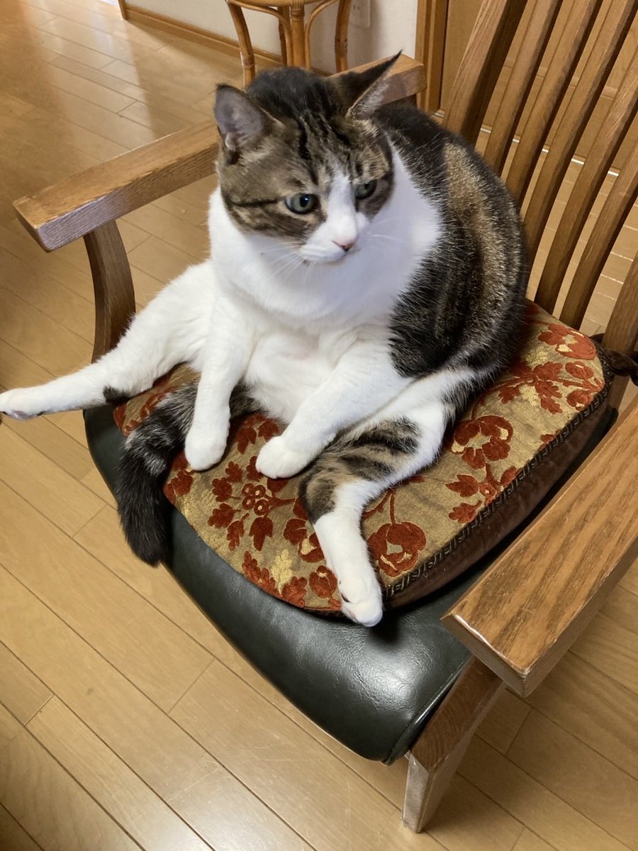 俳優-三嶋健太- tweet media