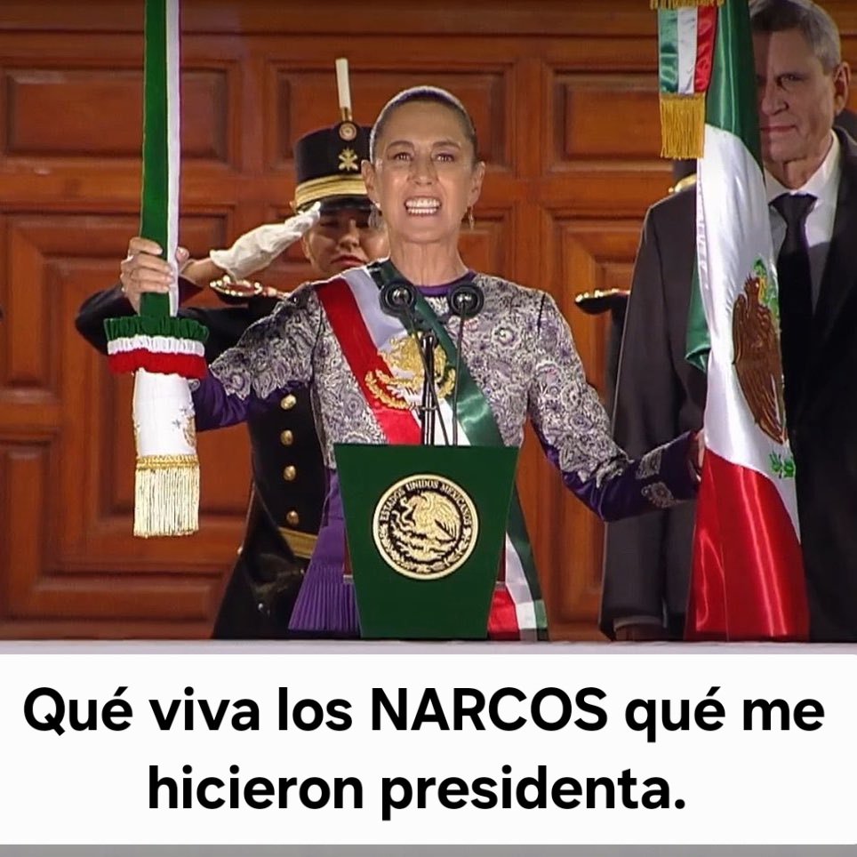 JAVIER. México en resistencia civil. tweet media