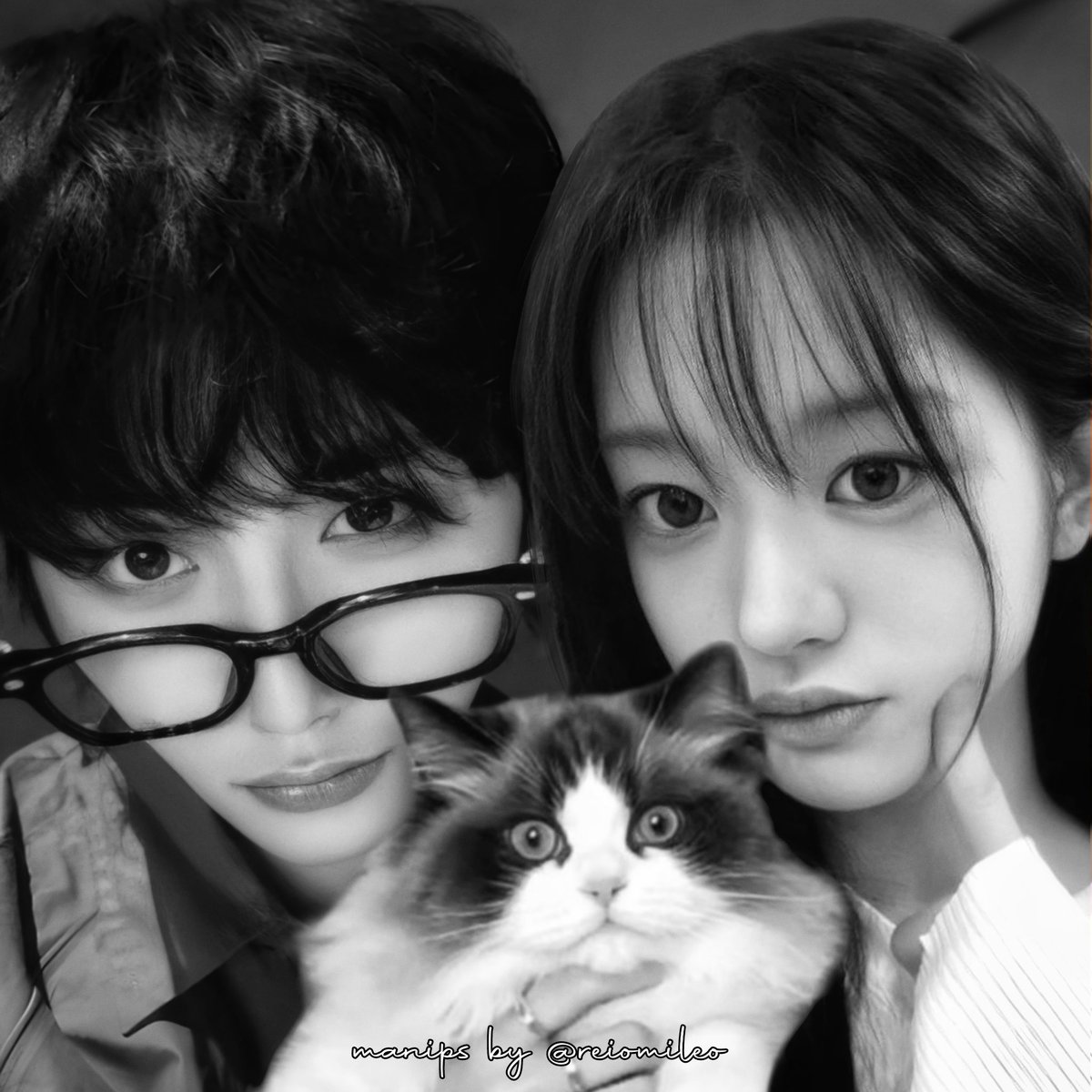 reiomileo's tweet photo. #mintaez guess which one's the cat ₍⸍⸌̣ʷ̣̫⸍̣⸌₎ https://t.co/fOa0xM54Yw