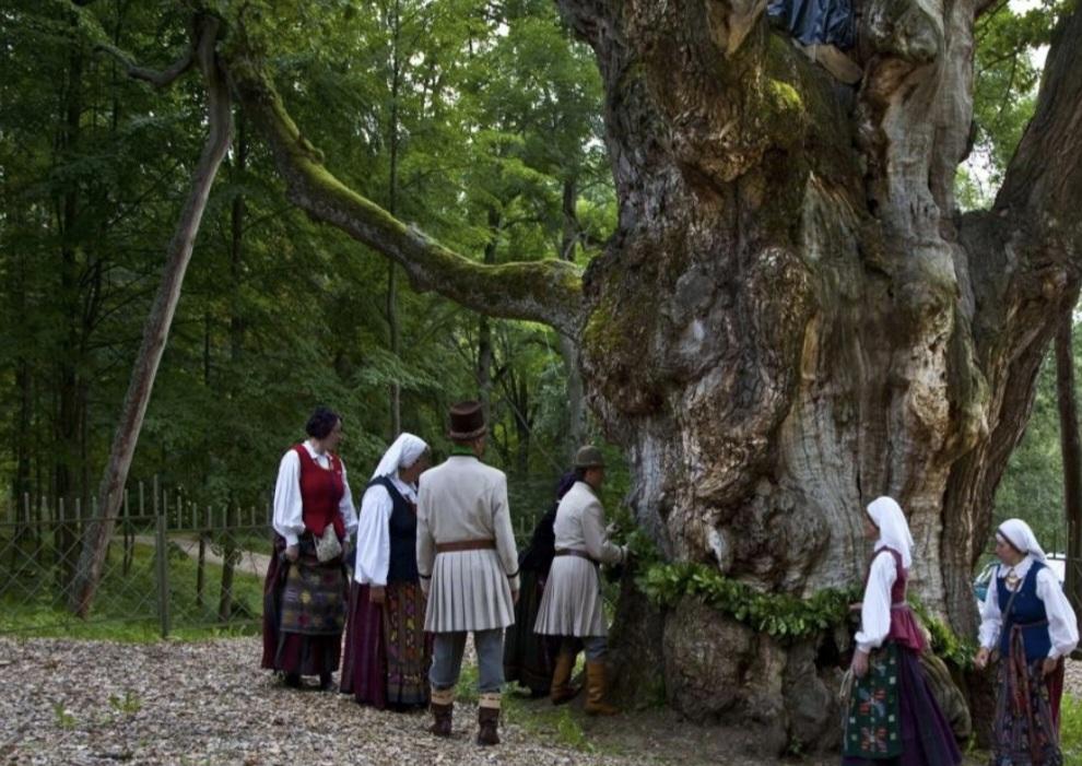 IlonaD 🇱🇹❤️🇺🇦 tweet media