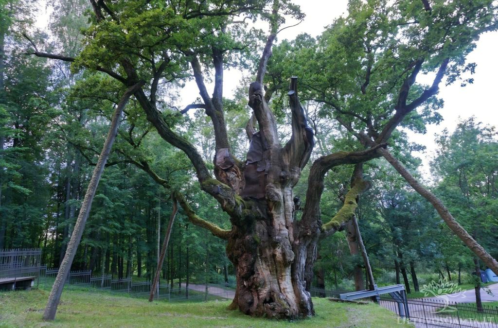 IlonaD 🇱🇹❤️🇺🇦 tweet media