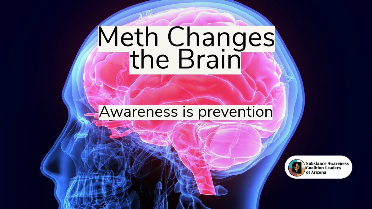 MATFORCE tweet media