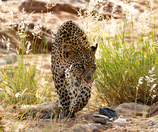 Saruni Basecamp tweet media