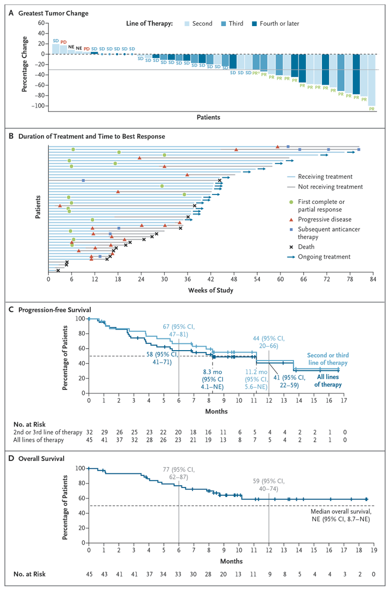 NEJM tweet media