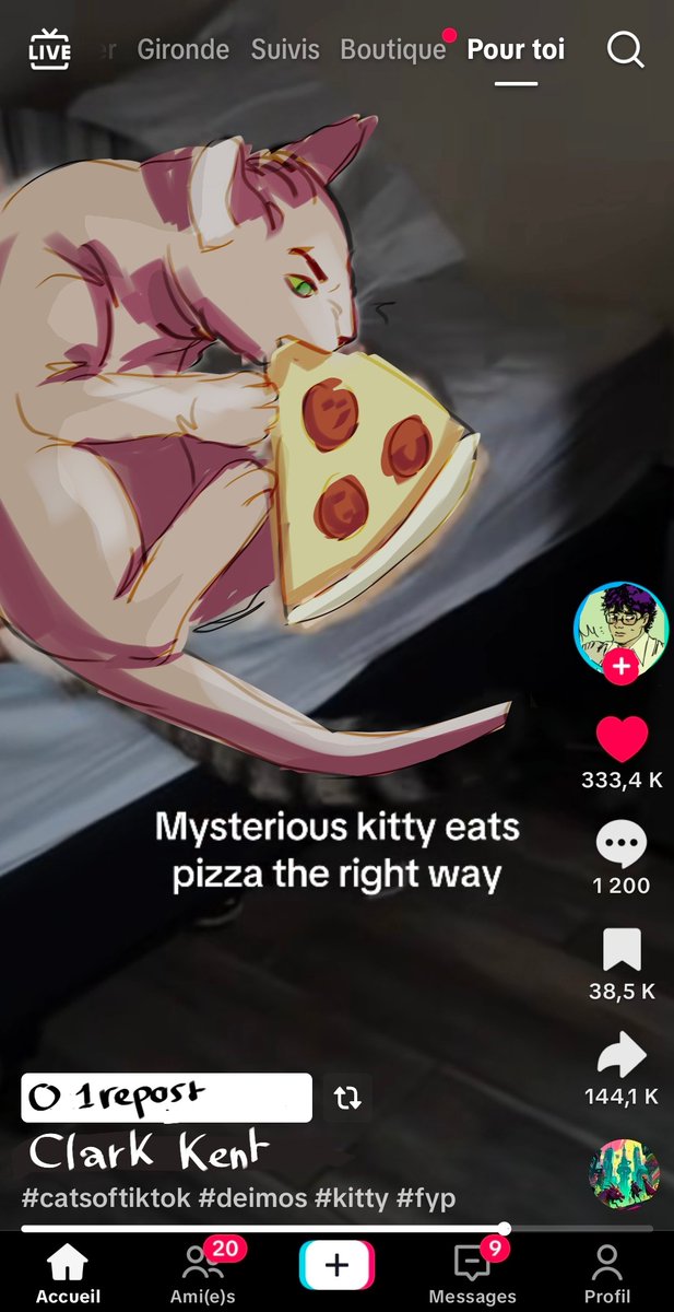 Fenchie_ tweet media