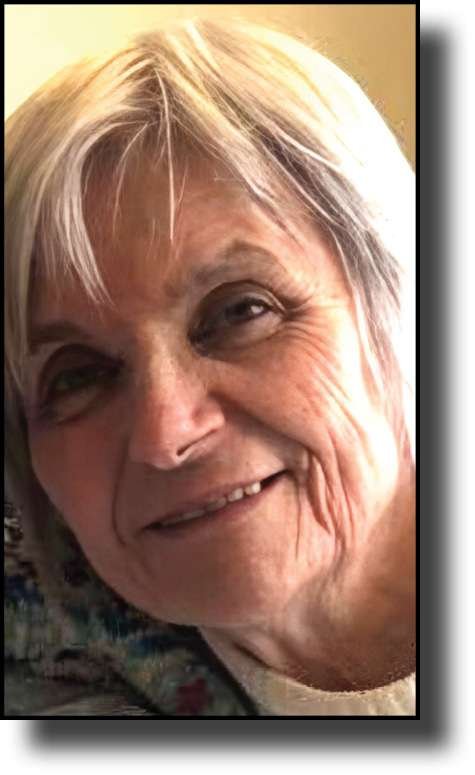 The Village Reporter tweet media