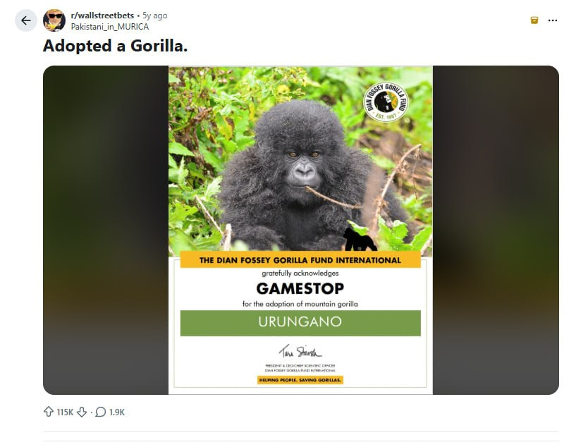 Apes Together Strong tweet media