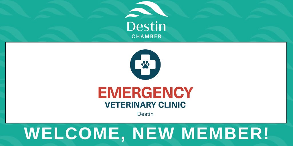 DestinChamber's tweet image. Welcome to Veterinary Emergency Clinic Destin! Located at 247 Main Street, in Destin, Veterinary Emergency Clinic Destin provides emergency and urgent care for dogs, cats, &amp;amp; exotic pets from Panama City to Pensacola. EmergencyVetDestin.com #DestinChamber #ChamberStrong