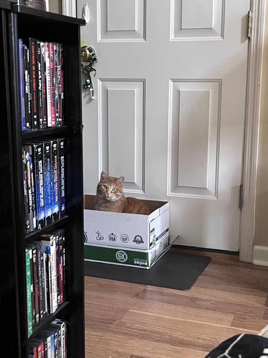 Aimee 🎃 tweet media