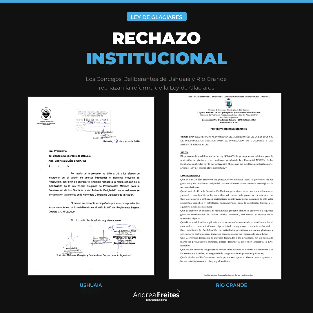 Andrea Freites tweet media