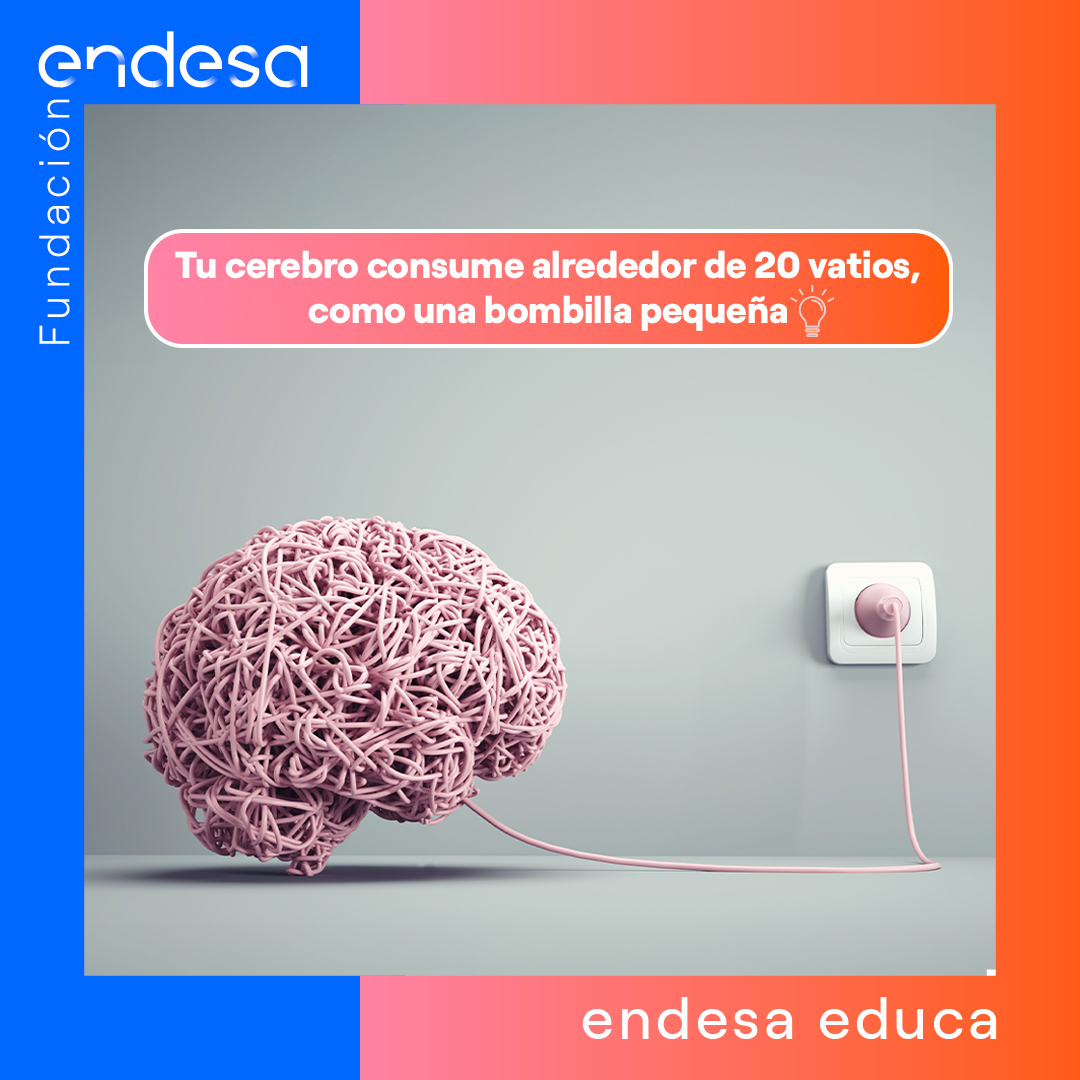 Endesa Educa tweet media