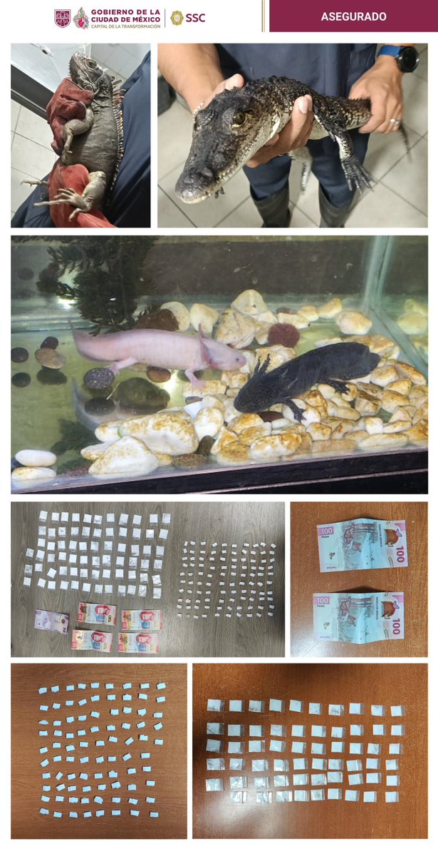 Pablo Vázquez Camacho tweet media