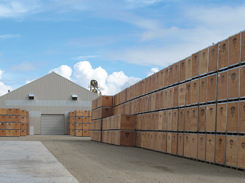 Sierra Valley Almonds tweet media