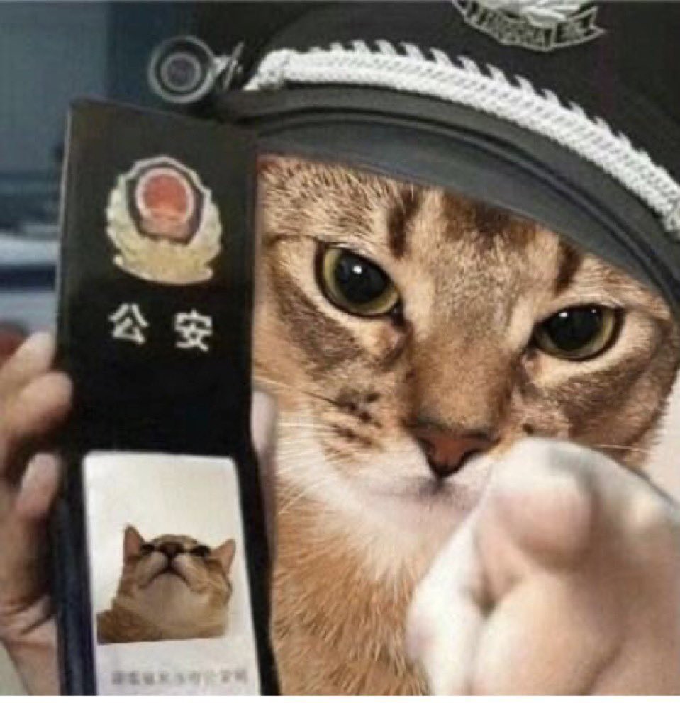 slow มอมอล์ ➫ SO10³ ⁿᴱʷᶜᵒᵐᵖ tweet media