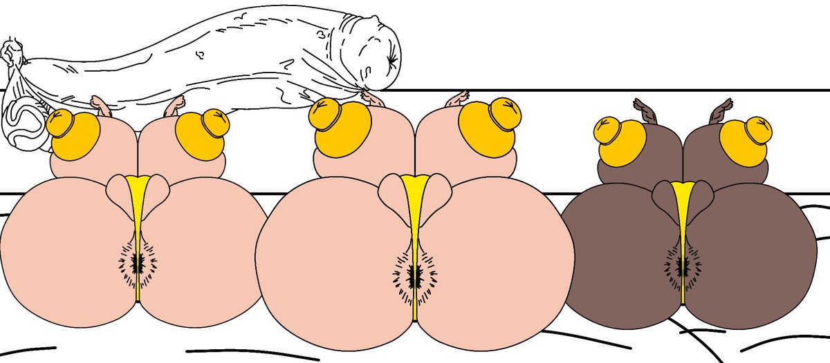 CassieNotSlutty(🟢) tweet media