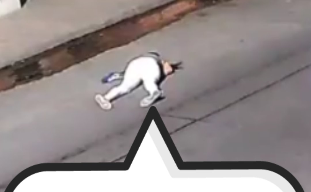 Fascist Catnip (@funado_catnip) on Twitter photo 