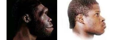 Sigma King tweet media