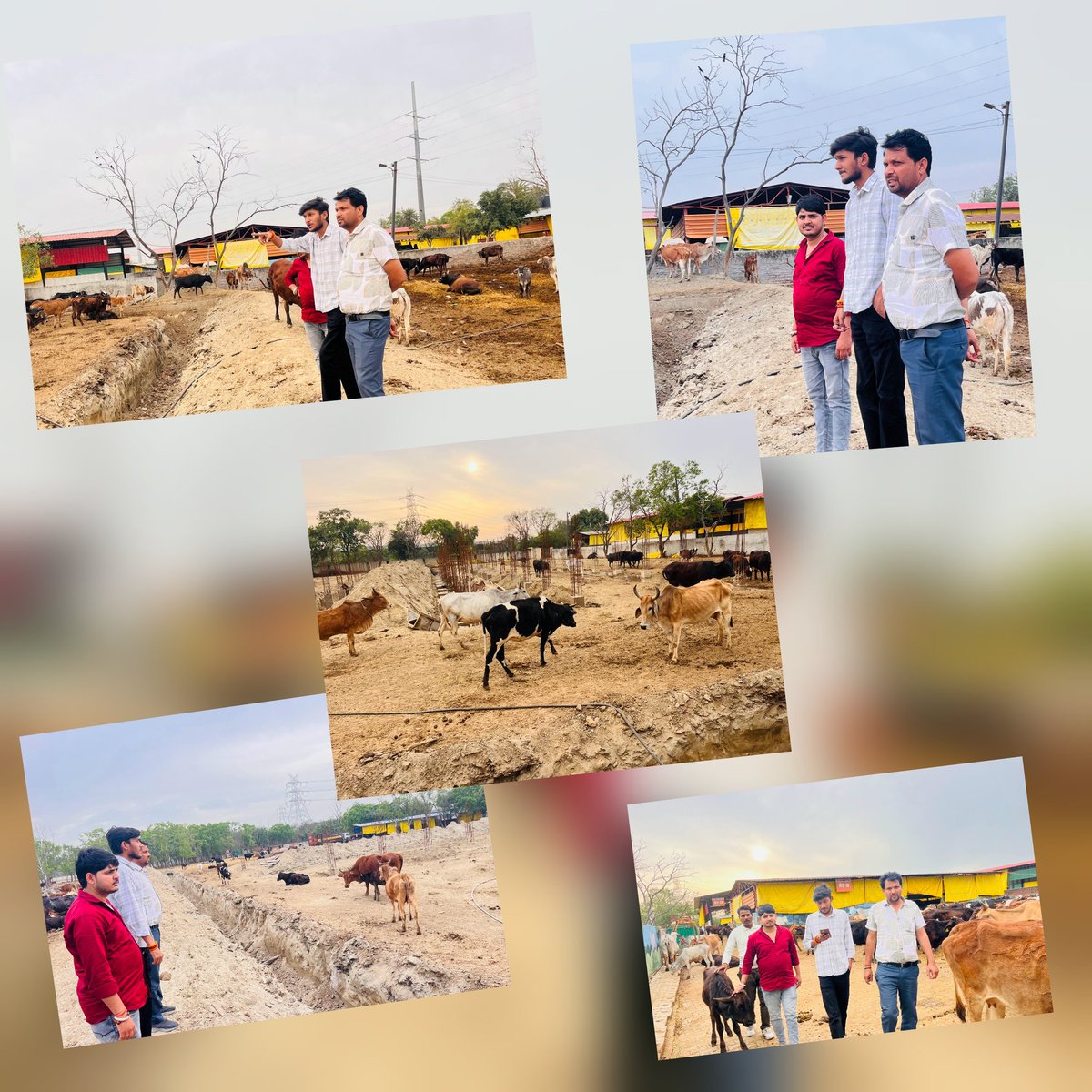 विशाल भारद्वाज, विश्वकर्मा | गौपुत्र बजरंगी गा०बाद tweet media