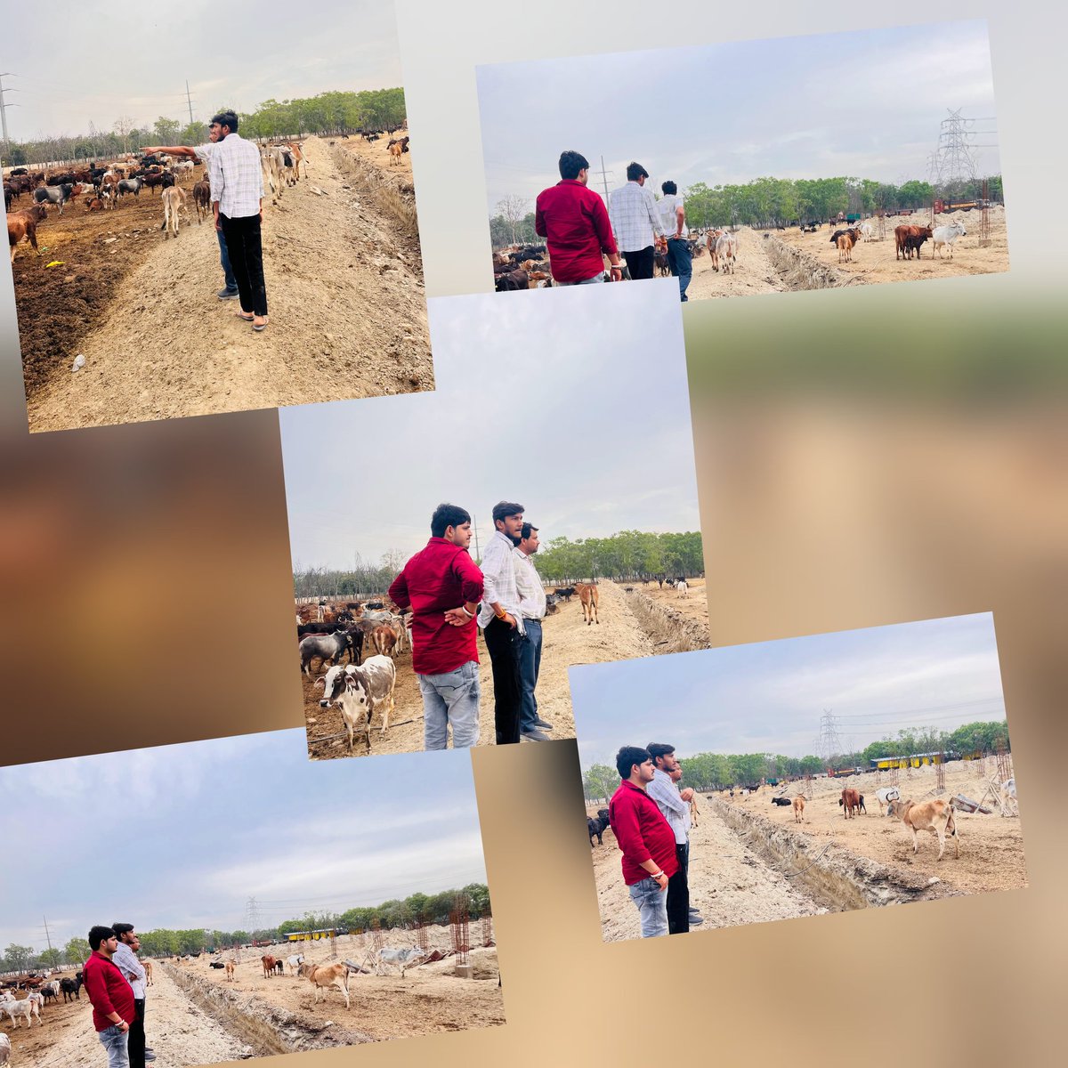 विशाल भारद्वाज, विश्वकर्मा | गौपुत्र बजरंगी गा०बाद tweet media