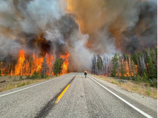 Rural Development tweet media