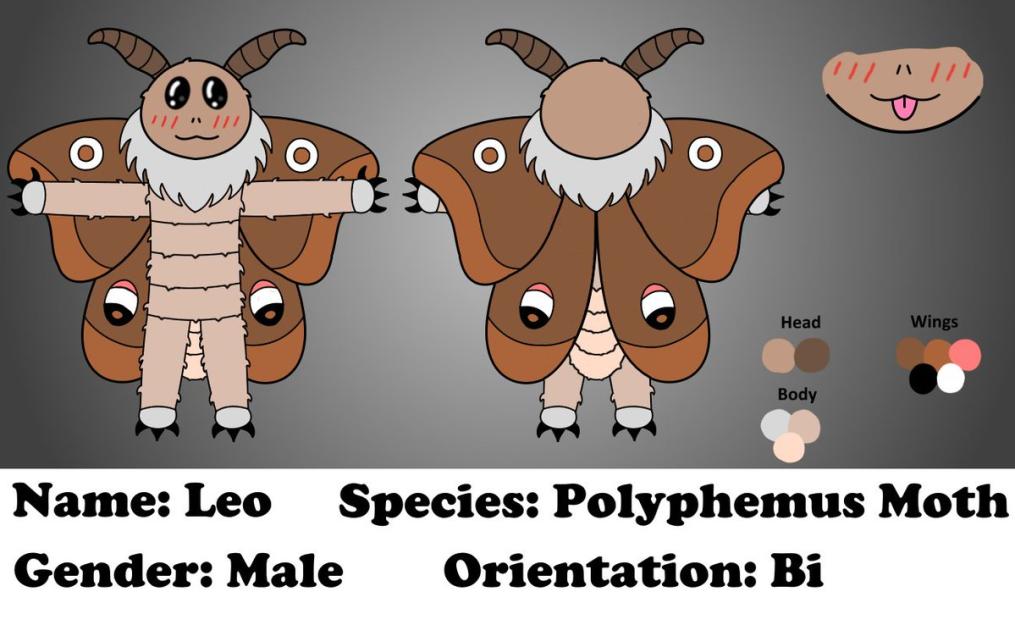 Leo the Silly Moth Critter 🟨⬜️🟪⬛️ tweet media