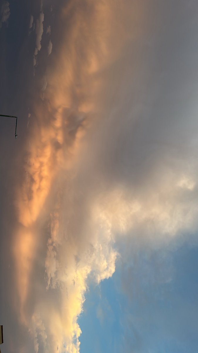 غيداء tweet media