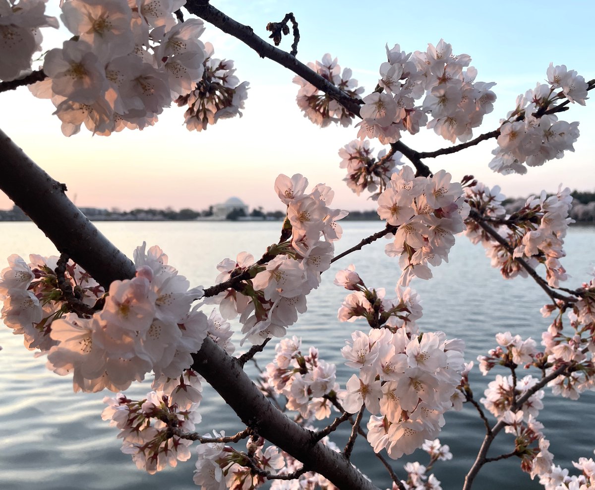 National Mall NPS tweet media