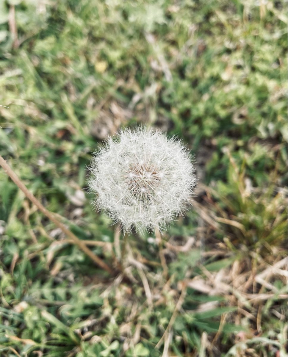 Ever 🦋 tweet media