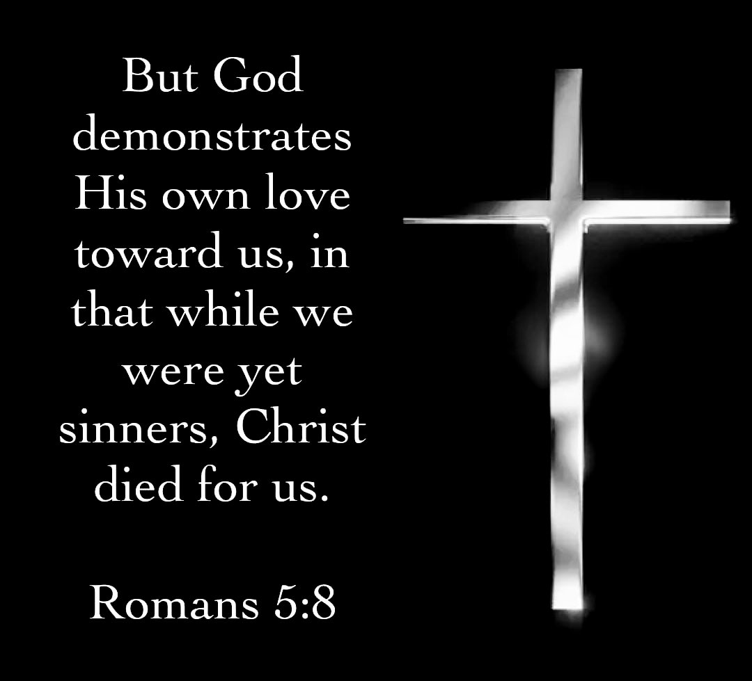 Terri Green tweet media