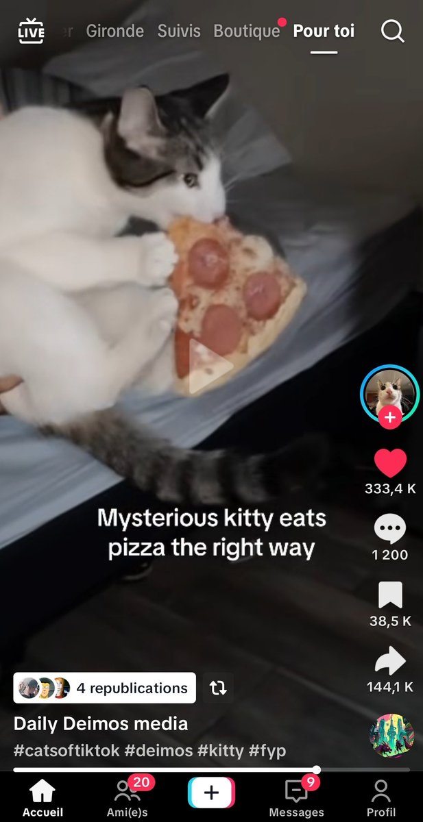 Fenchie_ tweet media