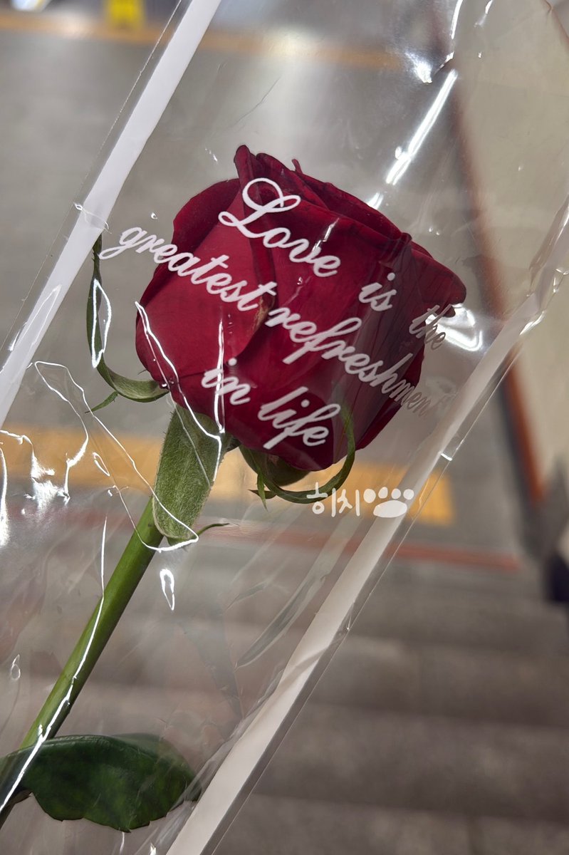 히치🐾 tweet media