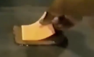 Martin Adams | Building Flowtelic tweet media