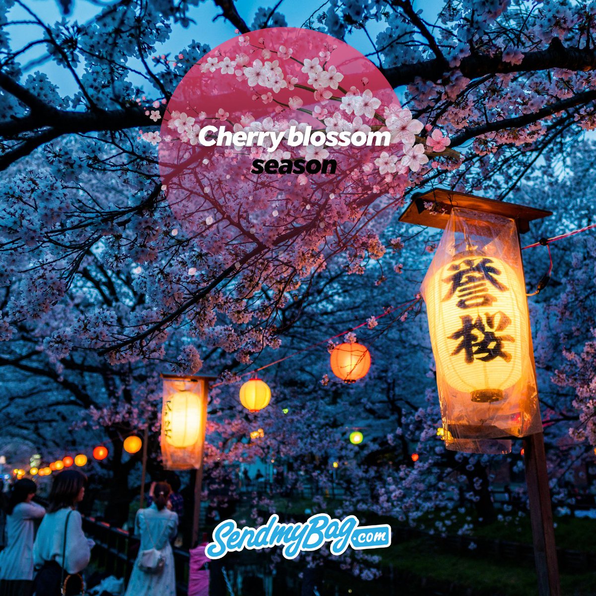 Send My Bag® tweet media