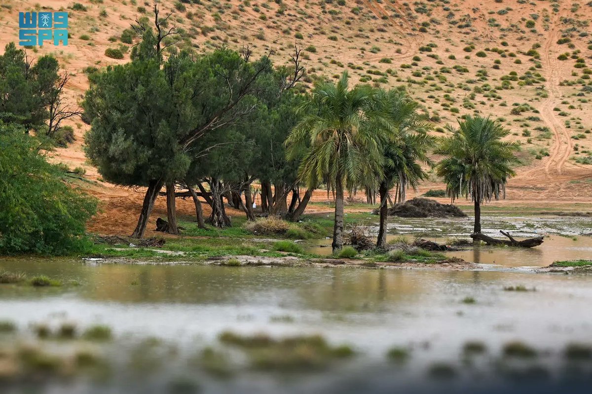 واس جودة الحياة tweet media