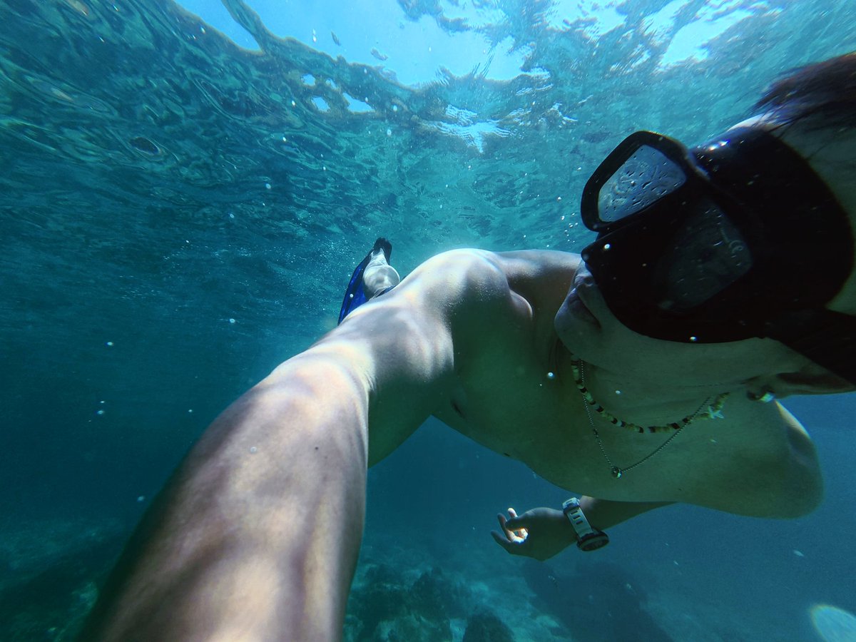 uɥɔ🐈⬛ tweet media