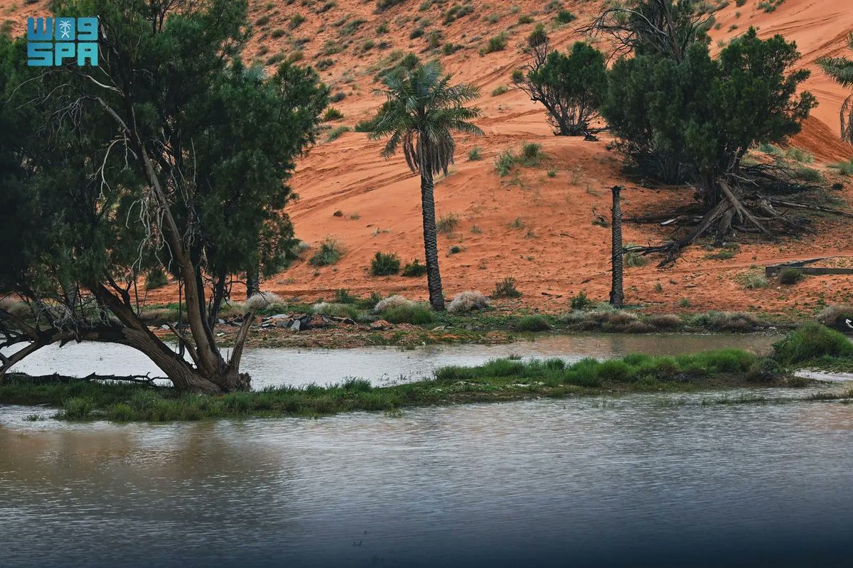 واس جودة الحياة tweet media