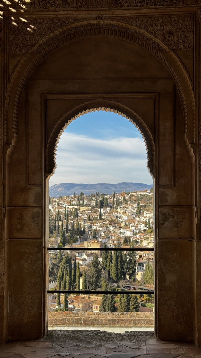 يوسف tweet media