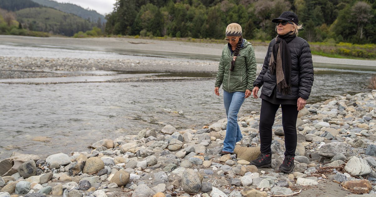 Hillary Clinton tweet media