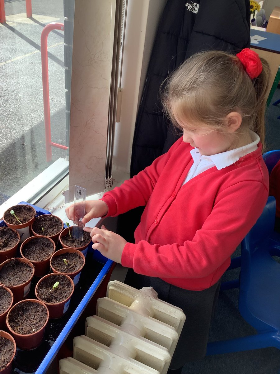 We have been measuring in maths this week 😊📏