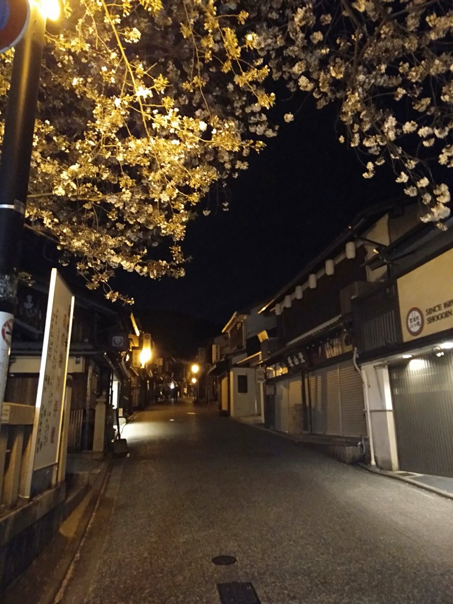 雨が来た🌧🐱（Cat-sual Vtuber) tweet media