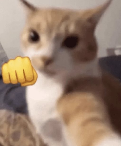 beatriz⁷ | arirang. 🪭 tweet media