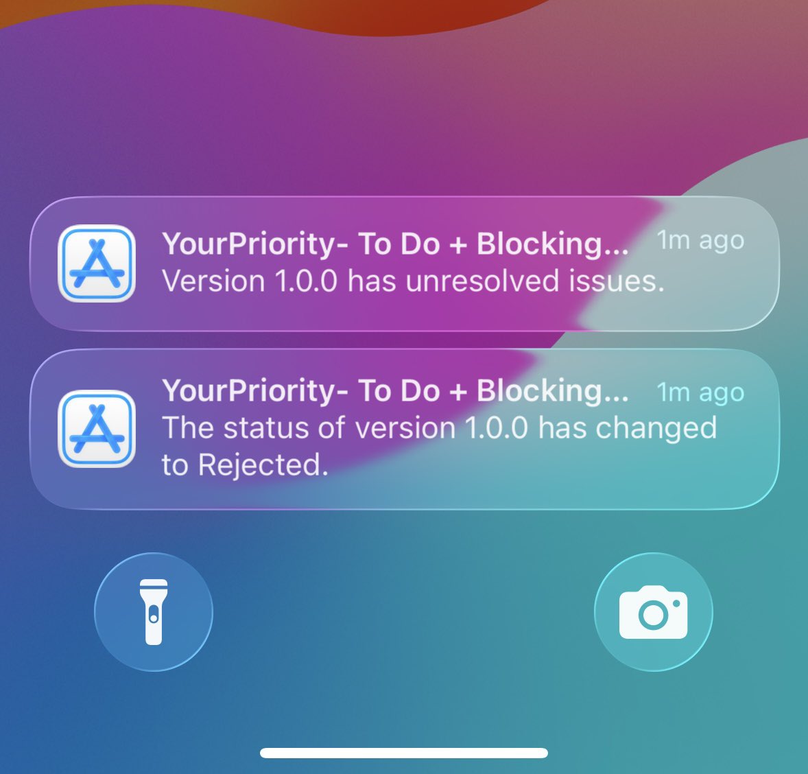 Apple rejected my app. 
Lesson: If your app is Iphone-only, please carefully configure it.